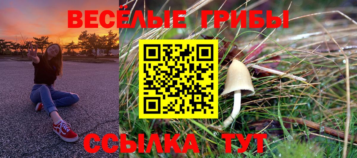 наркотики  Галлюциногенные грибы ЛСД  Лениногорск  Вход с VPN  Псилоцибиновые грибы Cubensis 