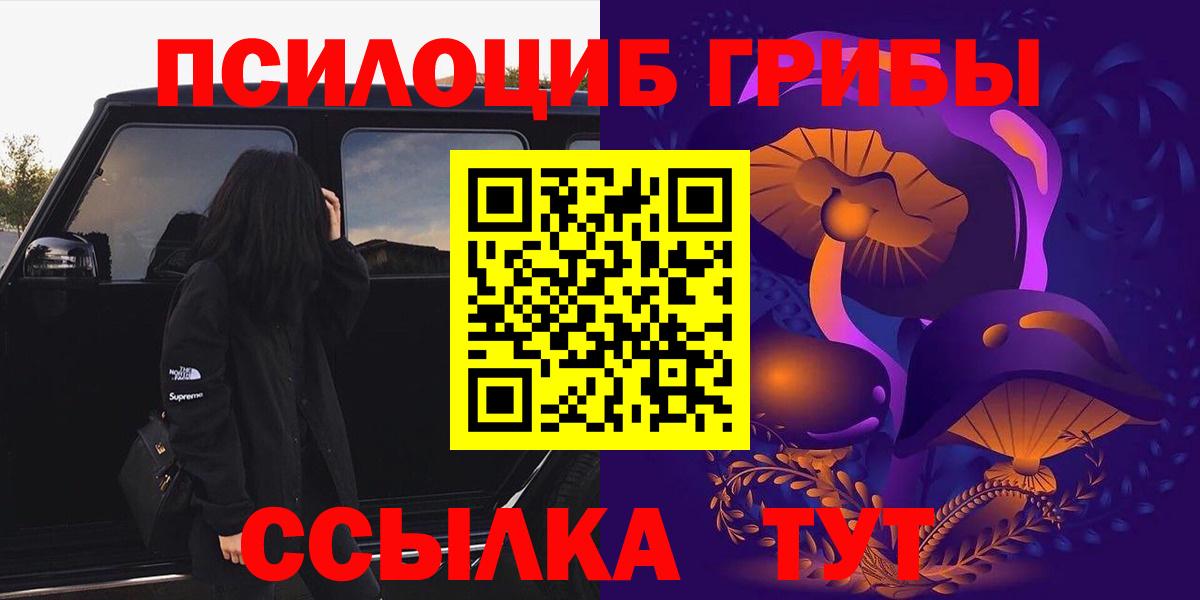 Псилоцибиновые грибы Psilocybe Лениногорск