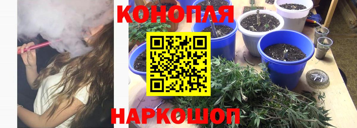 Конопля SATIVA & INDICA  Марихуана ГИДРОПОН  Лениногорск  Вход с VPN  МАРИХУАНА план 